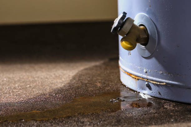 Best Water damage mitigation services  in Jennings Lodge, OR