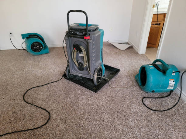 Professional Water damage restoration in Jennings Lodge, OR