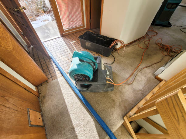 Best Water damage restoration mold remediation  in Jennings Lodge, OR