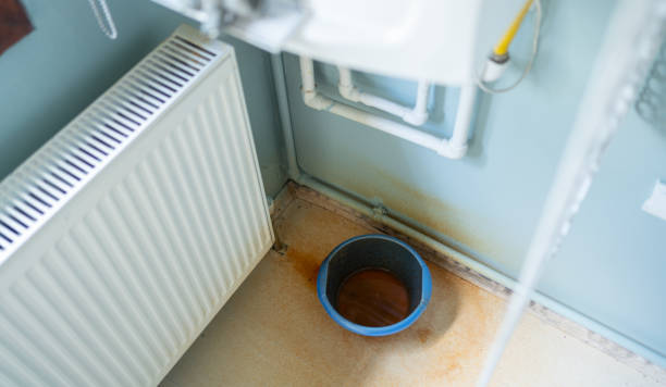 Best Flood damage cleanup  in Jennings Lodge, OR