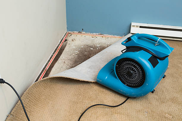 Best Water damage cleanup near me  in Jennings Lodge, OR